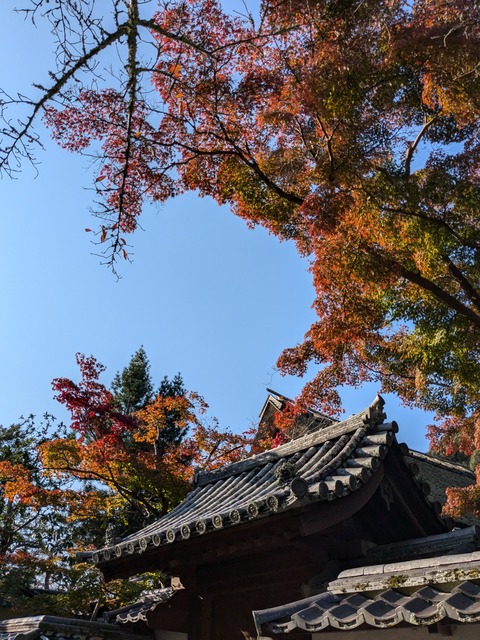 PXL_20241122_003049493