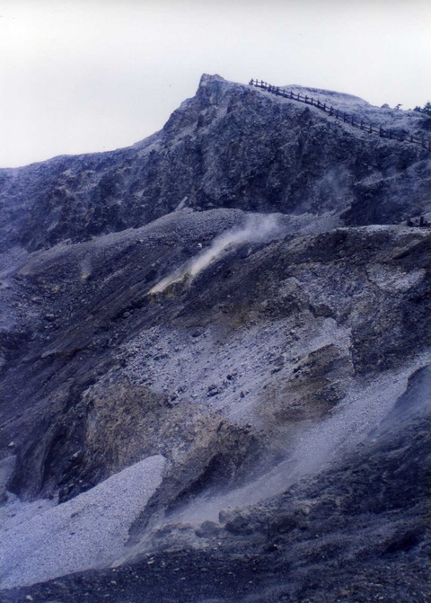 img794