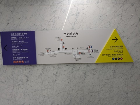 PXL_20241112_024419055