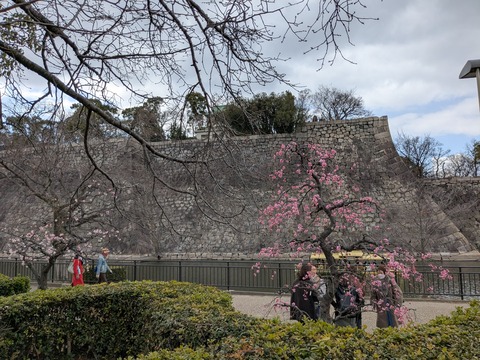 PXL_20250307_040221524