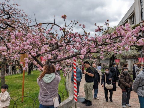 PXL_20240409_043727500