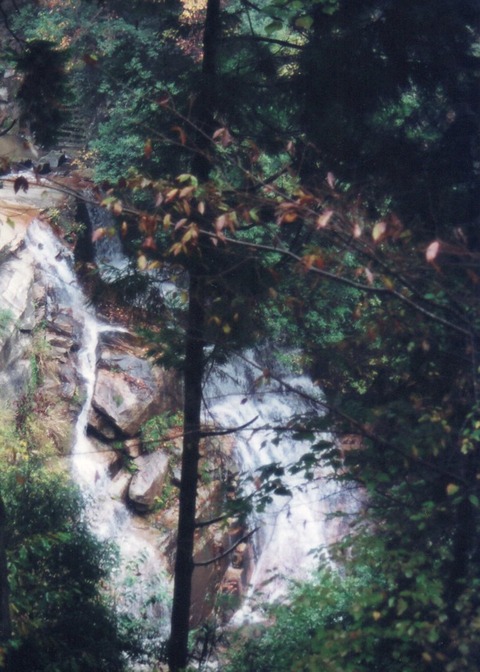 img20231112_15064129