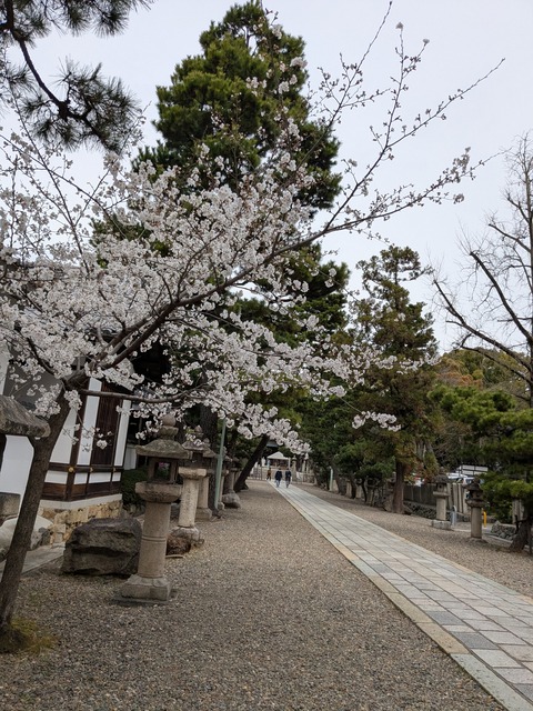 PXL_20250401_015124088