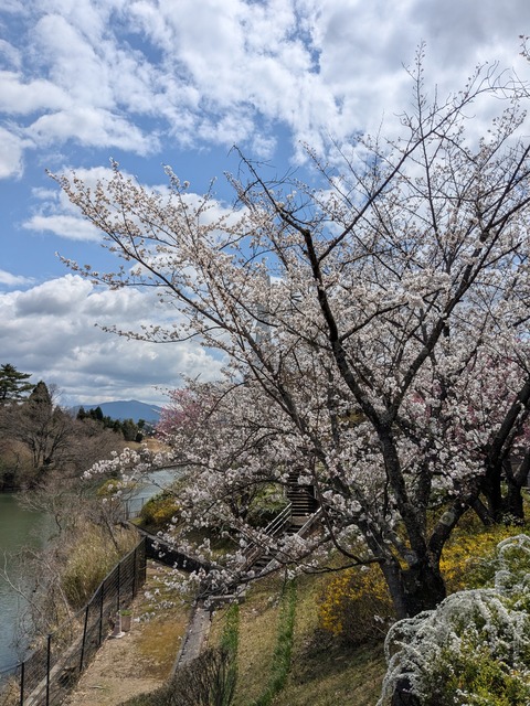 PXL_20250403_032500303