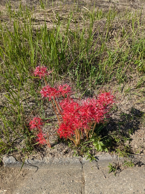 PXL_20241012_043851802