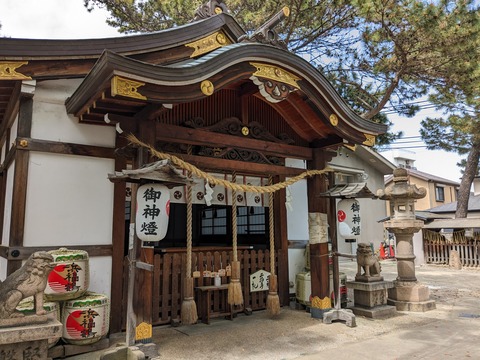 PXL_20240416_044132728