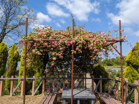 PXL_20230427_005028067