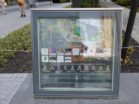 PXL_20250701_050732838