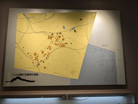 PXL_20260407_035022084