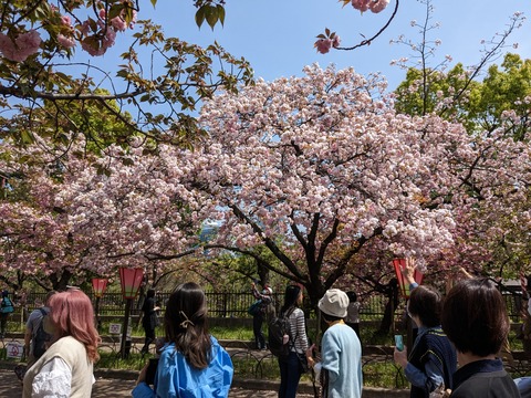 PXL_20230411_033129717