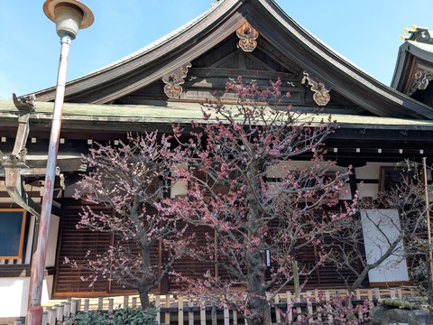 PXL_20260317_050828466