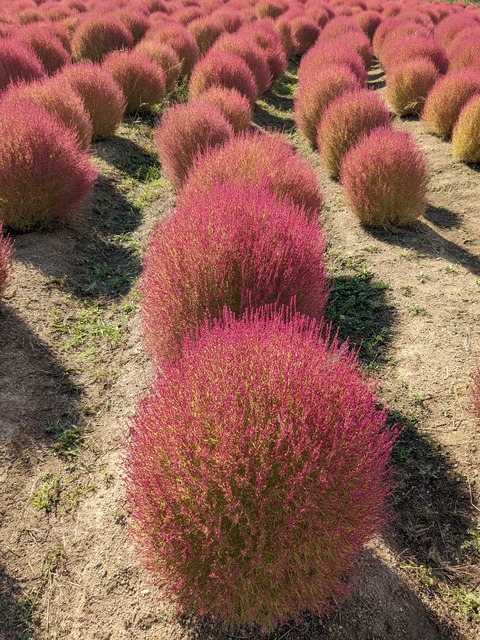 PXL_20231020_005528851