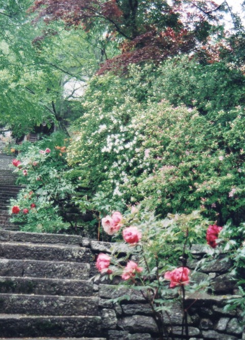 img20240812_13345571