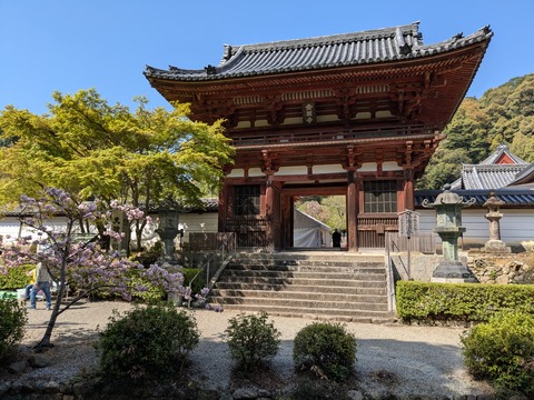 PXL_20250416_003424224