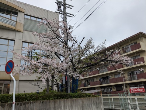 PXL_20260407_033130451