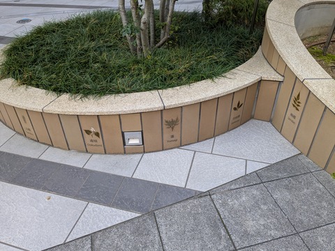 PXL_20260317_012355850