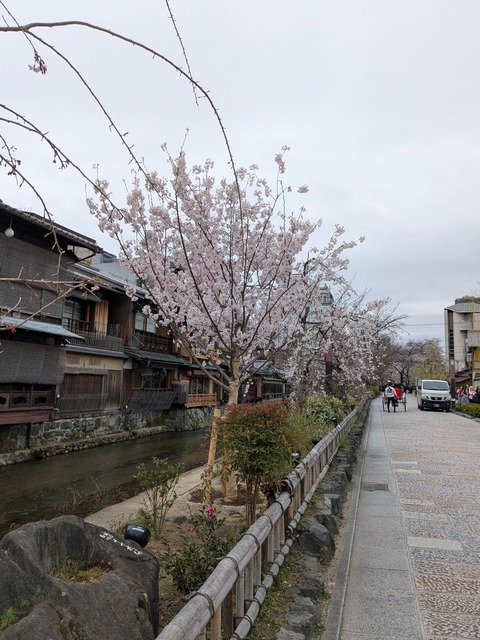 PXL_20250401_010323745