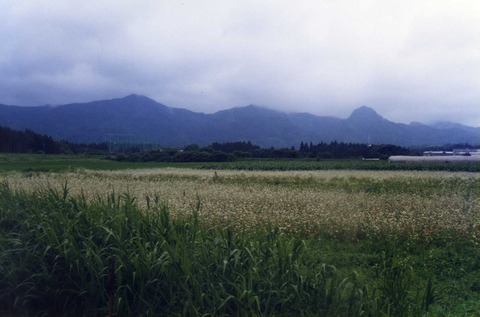img737