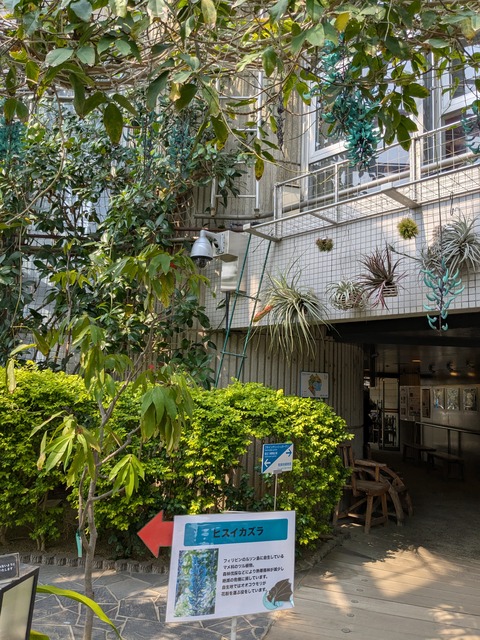 PXL_20250416_045744273