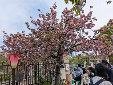 PXL_20260414_042728450