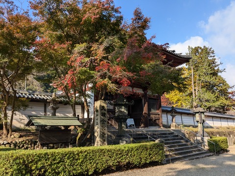 PXL_20241122_004949768