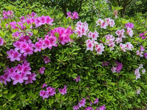 PXL_20230424_004944156