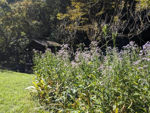 PXL_20230925_005008506