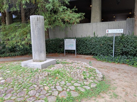 PXL_20251021_055545960
