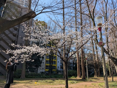 PXL_20260327_011320259