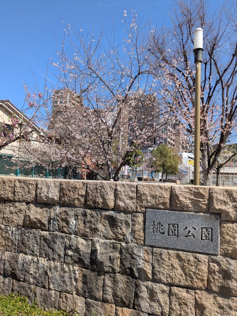 PXL_20260317_035159495