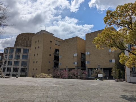 PXL_20250404_010130705