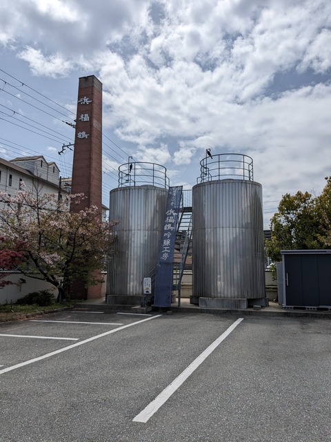 PXL_20240416_035331575