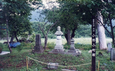 img738