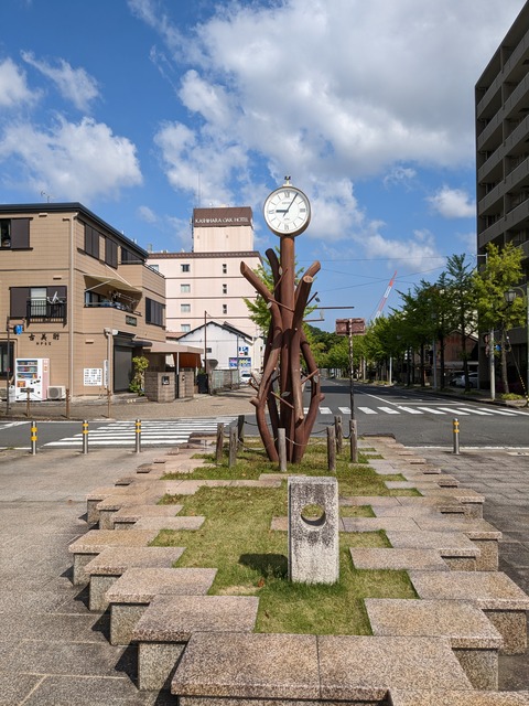 PXL_20230502_000552102