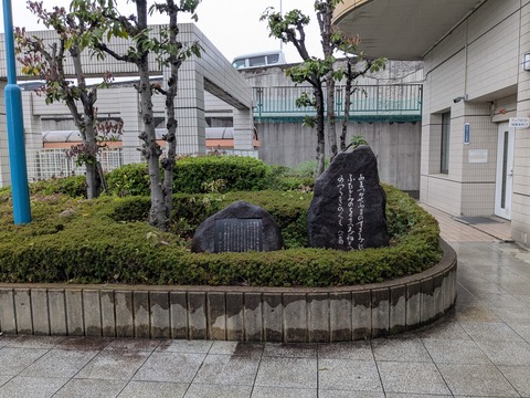 PXL_20260407_033518057