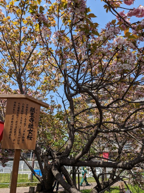 PXL_20230411_032443711