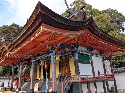 PXL_20260101_022226872.MP