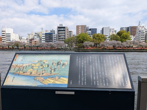 PXL_20250416_014032475