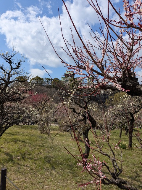 PXL_20250307_042236704