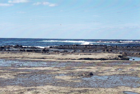 img20231112_14234514