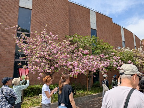 PXL_20260414_041536315