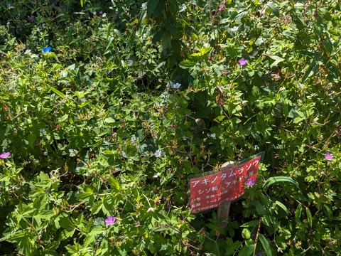 PXL_20230925_004547711