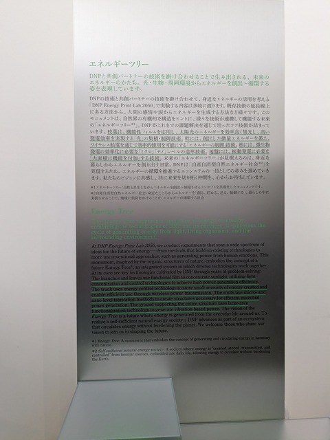 PXL_20251013_041323206