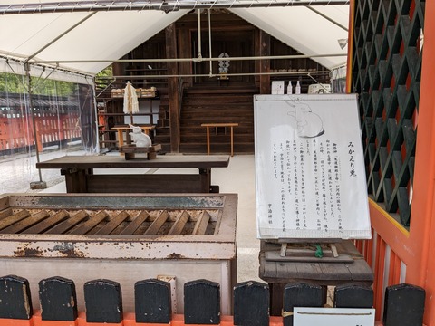 PXL_20230418_021510954