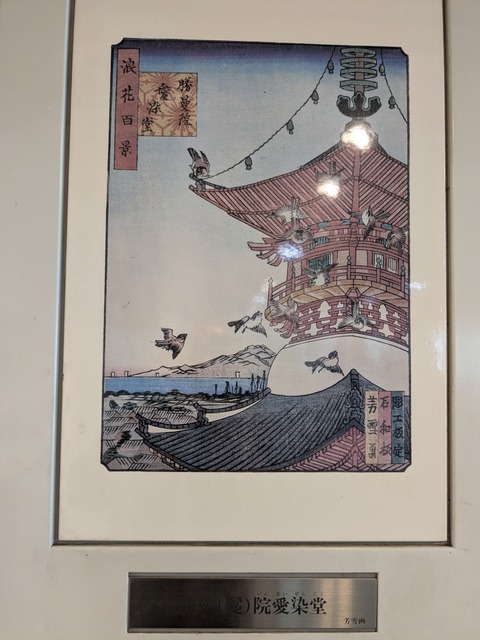 PXL_20250627_031429045