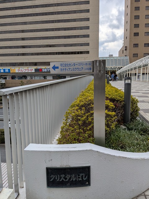 PXL_20250218_041749569