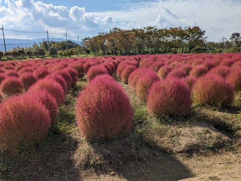 PXL_20231020_005507058