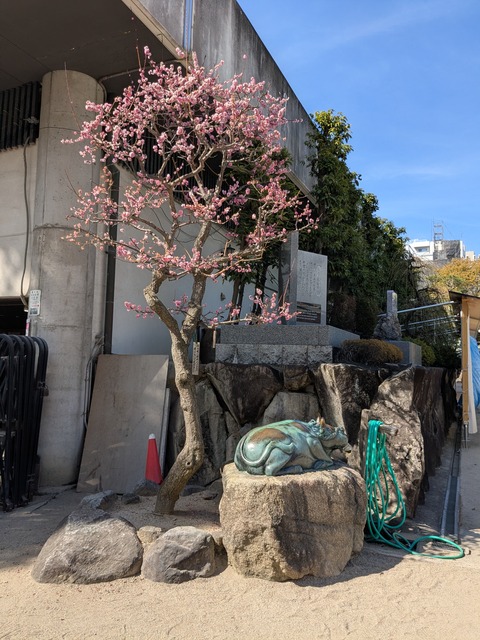 PXL_20260317_050359849