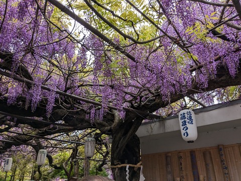 PXL_20240422_014611265