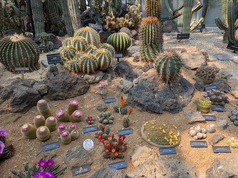 PXL_20250416_051003681